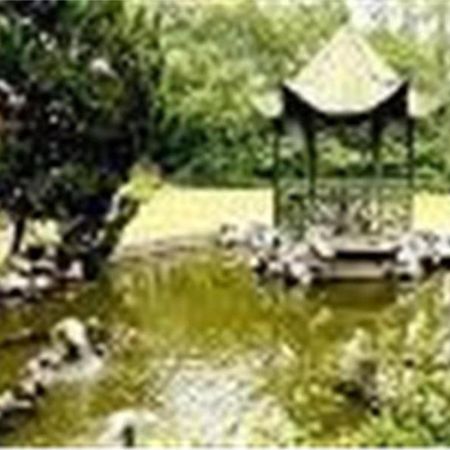 Cypress Hotel Jin Jiang Shanghai Exterior foto